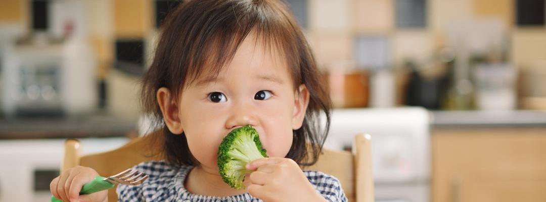 Qual a alimentação ideal para crianças a partir de um ano?
